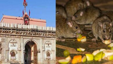 Karni mata temple
