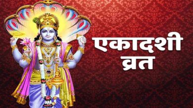 Mohini ekadashi vrat