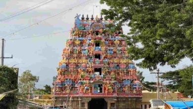 Apatsahayesvarar temple