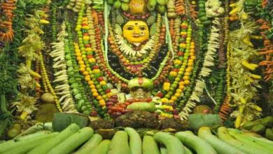 Shakambhari navratri story