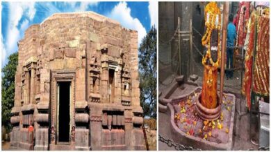 Story of bhramari devi