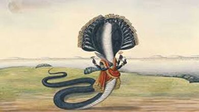 The story of sheshnag