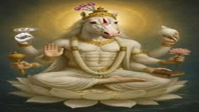 Lord hayagriva avatar story